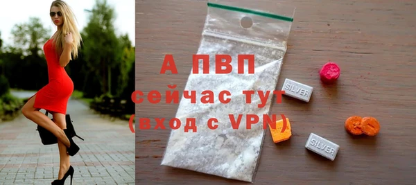мдпв Касимов