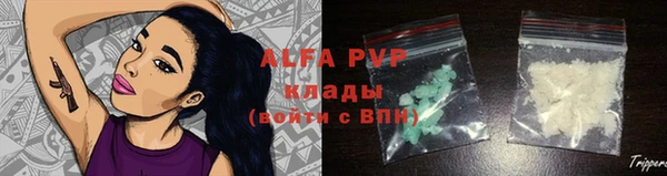 ГАЛЛЮЦИНОГЕННЫЕ ГРИБЫ Карталы