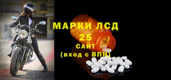 ГАЛЛЮЦИНОГЕННЫЕ ГРИБЫ Карталы