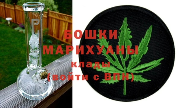 мдпв Касимов