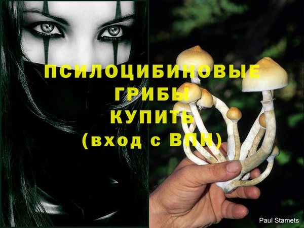 мдпв Касимов