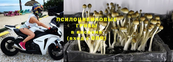 мдпв Касимов