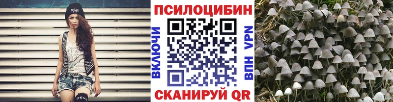 Купить закладки  Южно-Сухокумск  Псилоцибиновые грибы мухоморы 