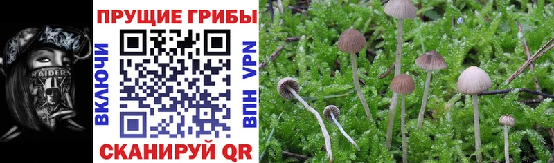 Галлюциногенные грибы прущие грибы Южно-Сухокумск